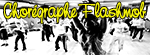 http://www.choregraphe-flashmob.com/